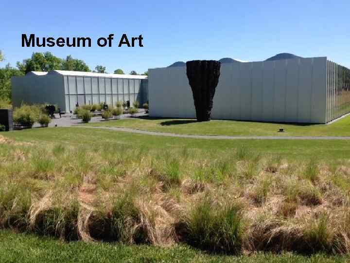 Museum of Art 