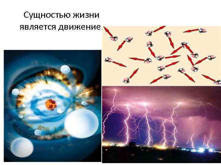 Сущностью жизни является движение. 