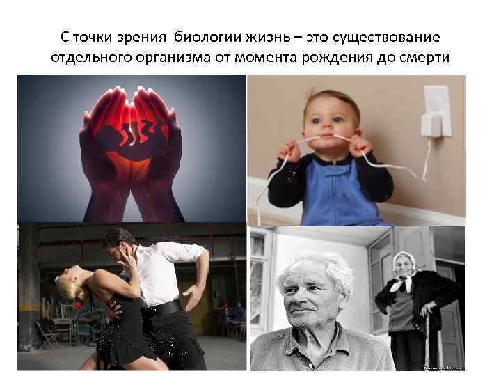 С точки зрения биологии жизнь – это существование отдельного организма от момента рождения до