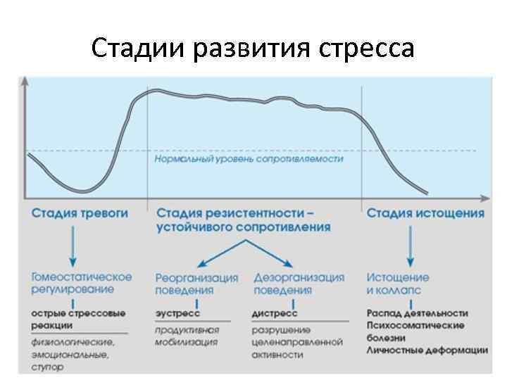 Стадии развития стресса 
