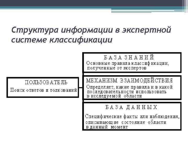 Структура информации в экспертной системе классификации 