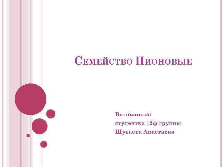 СЕМЕЙСТВО ПИОНОВЫЕ Выполнила: студентка 12 ф группы Шуваева Анастасия 