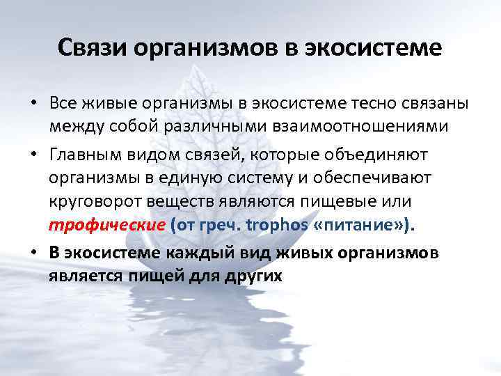 Отношения организмов. Взаимоотношения организмов в экосистеме. Взаимосвязи организмов в экосистеме. Типы связей в экосистеме. Типы связей организмов в экосистемах.