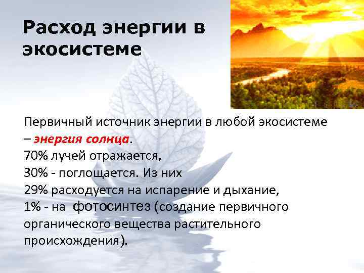 В природных экосистемах используется энергия. Источники энергии в экосистеме. Энергия в экосистемах.