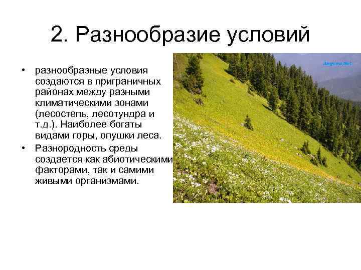 2. Разнообразие условий • разнообразные условия создаются в приграничных районах между разными климатическими зонами