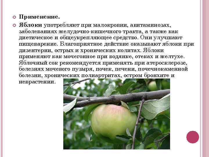  Применение. Яблоки употребляют при малокровии, авитаминозах, заболеваниях желудочно-кишечного тракта, а также как диетическое