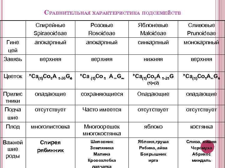 Сравнительная таблица 6 класс. Спирейные формула цветка. Спирейные характеристика таблица. Подсемейство сливовые формула цветка. Сравнительная характеристика семейств Розоцветные.