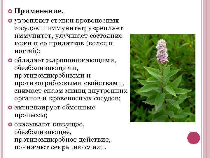 Применение. укрепляет стенки кровеносных сосудов и иммунитет; укрепляет иммунитет, улучшает состояние кожи и ее
