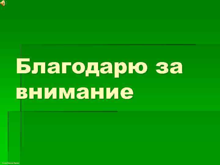 Благодарю за внимание Степанов Константин Сергеевич 