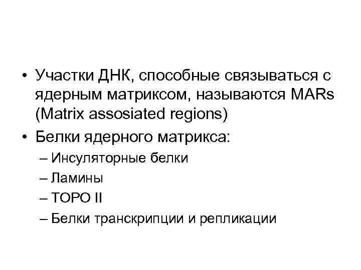  • Участки ДНК, способные связываться с ядерным матриксом, называются MARs (Matrix assosiated regions)