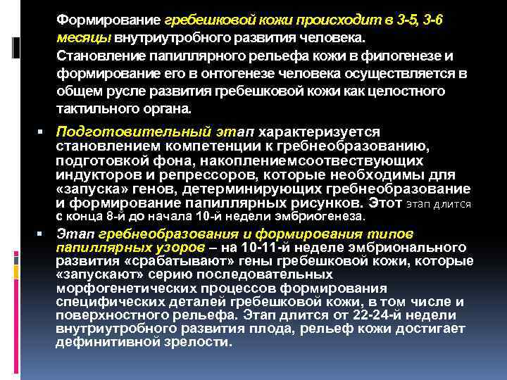 Формирование гребешковой кожи происходит в 3 -5, 3 -6 месяцы внутриутробного развития человека. Становление