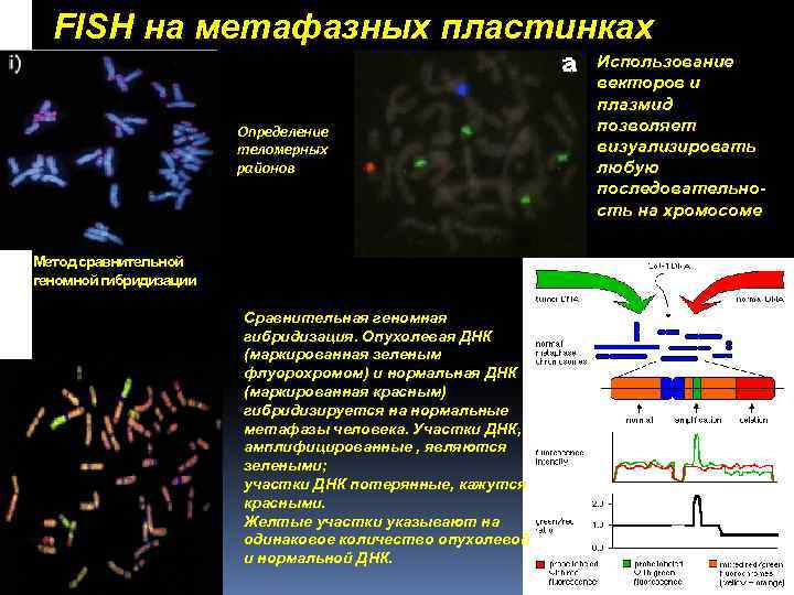 FISH на метафазных пластинках Определение теломерных районов Метод сравнительной геномной гибридизации Сравнительная геномная гибридизация.