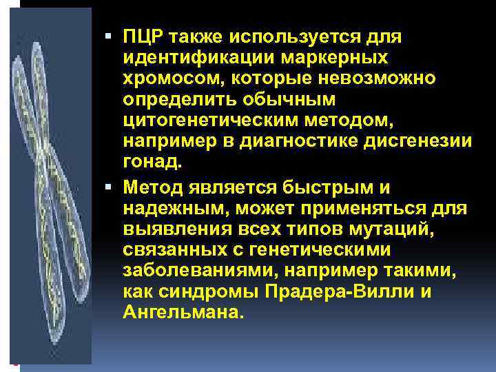  ПЦР также используется для идентификации маркерных хромосом, которые невозможно определить обычным цитогенетическим методом,