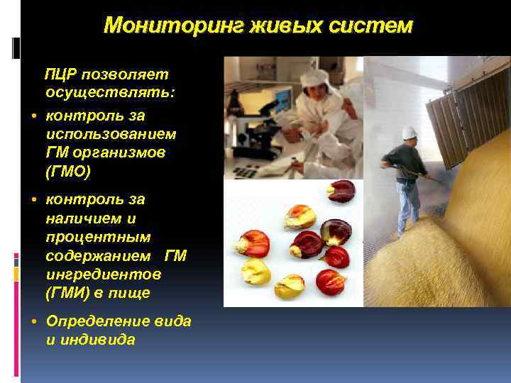Мониторинг живых систем ПЦР позволяет осуществлять: • контроль за использованием ГМ организмов (ГМО) •