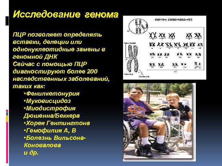 Исследование генома ПЦР позволяет определять вставки, делеции или однонуклеотидные замены в геномной ДНК Сейчас