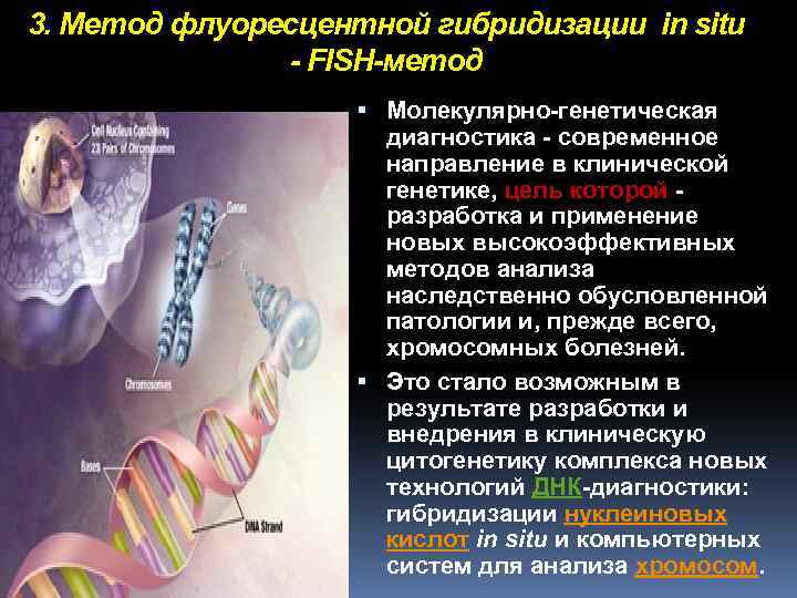 3. Метод флуоресцентной гибридизации in situ - FISН-метод Молекулярно-генетическая диагностика - современное направление в