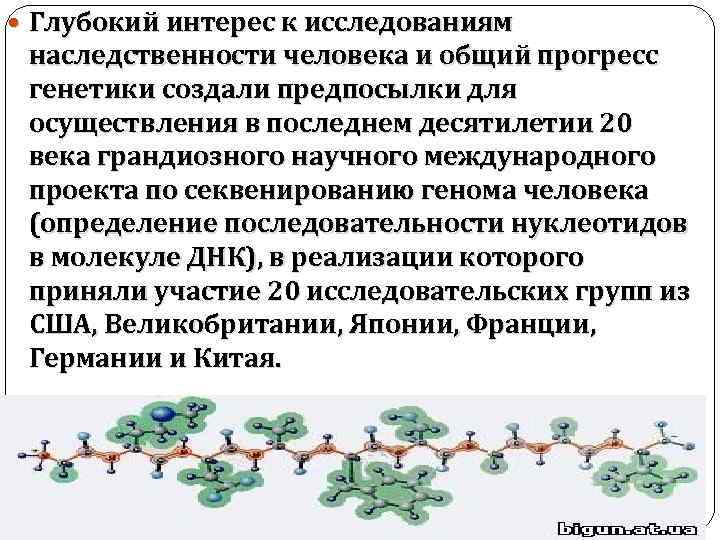  Глубокий интерес к исследованиям наследственности человека и общий прогресс генетики создали предпосылки для