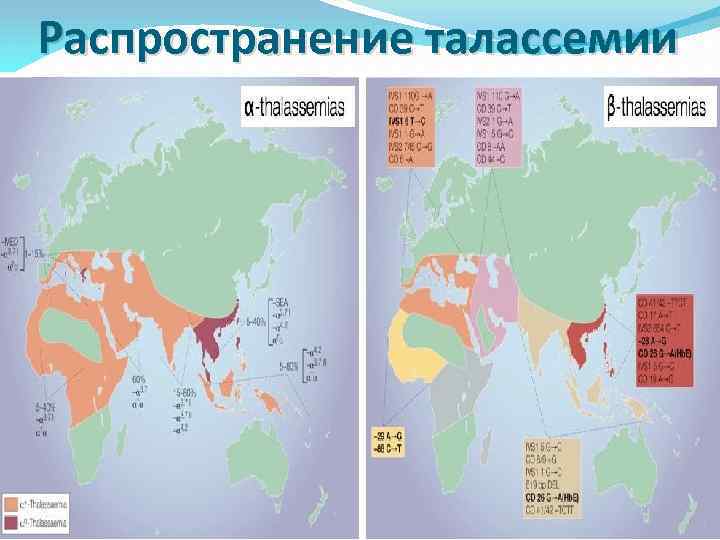 Распространение талассемии 