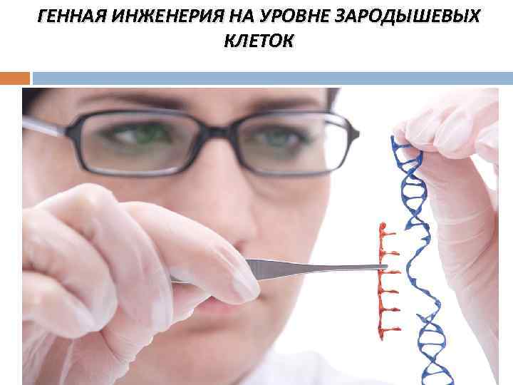 ГЕННАЯ ИНЖЕНЕРИЯ НА УРОВНЕ ЗАРОДЫШЕВЫХ КЛЕТОК 