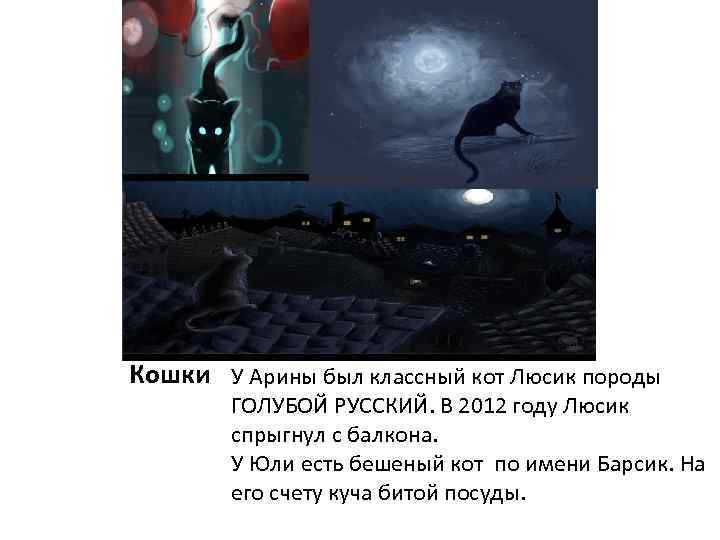 Кошки У Арины был классный кот Люсик породы ГОЛУБОЙ РУССКИЙ. В 2012 году Люсик