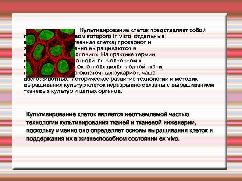  Культивирование клеток представляет собой процесс, посредством которого in vitro отдельные клетки (или единственная