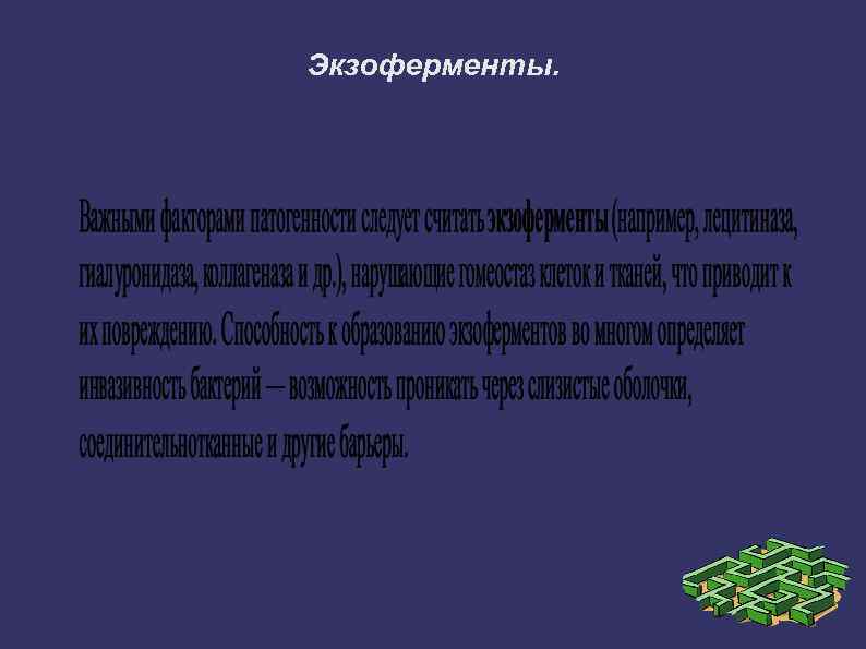 Экзоферменты. 