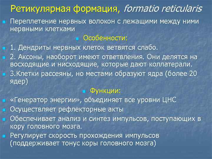 Ретикулярная формация, formatio reticularis n n n n Переплетение нервных волокон с лежащими между