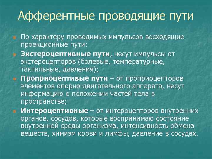 Проведена характеристика. Закономерности строения афферентных проекционных путей. Афферентные пути. Закономерности строения афферентных проекционных проводящих путей. Проводящие пути афферентные и эфферентные.