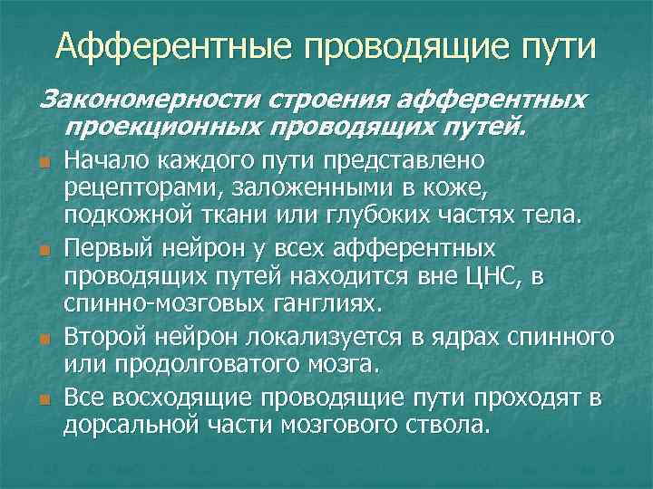 Афферентные проводящие пути Закономерности строения афферентных проекционных проводящих путей. n n Начало каждого пути