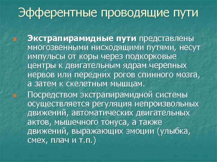 Эфферентные проводящие пути n n Экстрапирамидные пути представлены многозвенными нисходящими путями, несут импульсы от