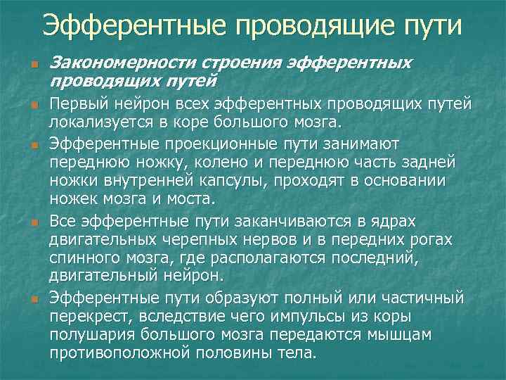 Эфферентные проводящие пути n n n Закономерности строения эфферентных проводящих путей Первый нейрон всех