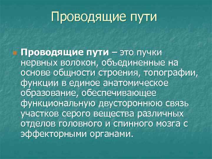 Проводящие пути n Проводящие пути – это пучки нервных волокон, объединенные на основе общности