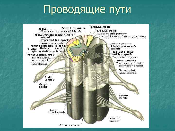 Закрытые проводящие