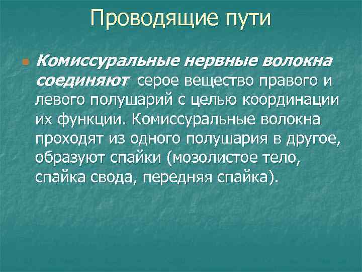 Проводящие пути n Комиссуральные нервные волокна соединяют серое вещество правого и левого полушарий с