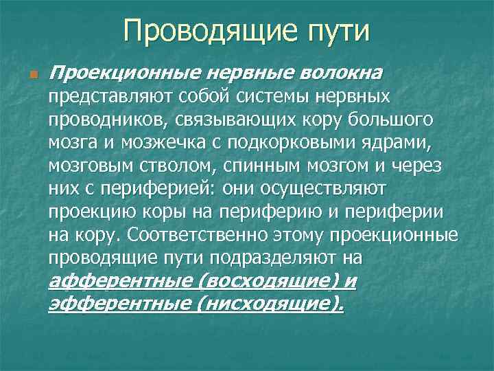 Проводящая характеристика