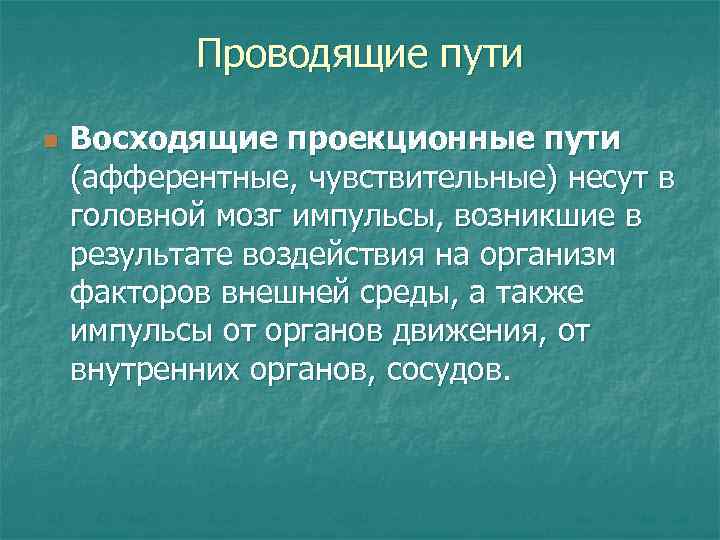 Проводящие пути n Восходящие проекционные пути (афферентные, чувствительные) несут в головной мозг импульсы, возникшие