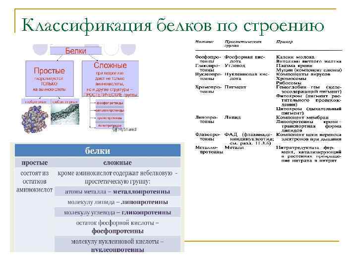 Классификация белков по строению 