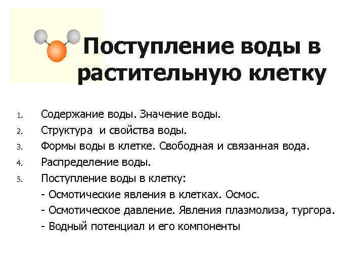 Поступление воды в растительную клетку 1. 2. 3. 4. 5. Содержание воды. Значение воды.