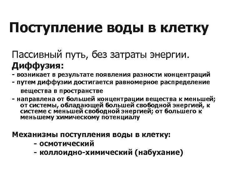 Поступление воды в клетку Пассивный путь, без затраты энергии. Диффузия: - возникает в результате