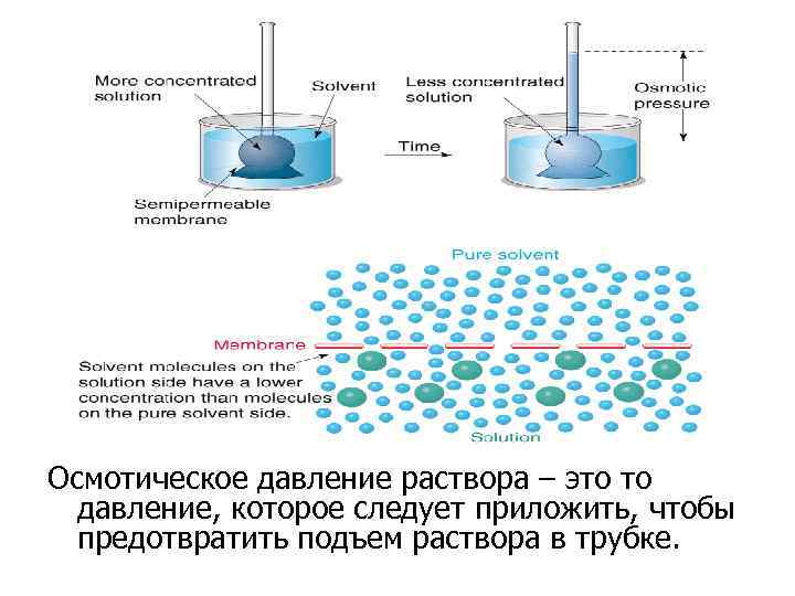 Осмотическое давление раствора – это то давление, которое следует приложить, чтобы предотвратить подъем раствора