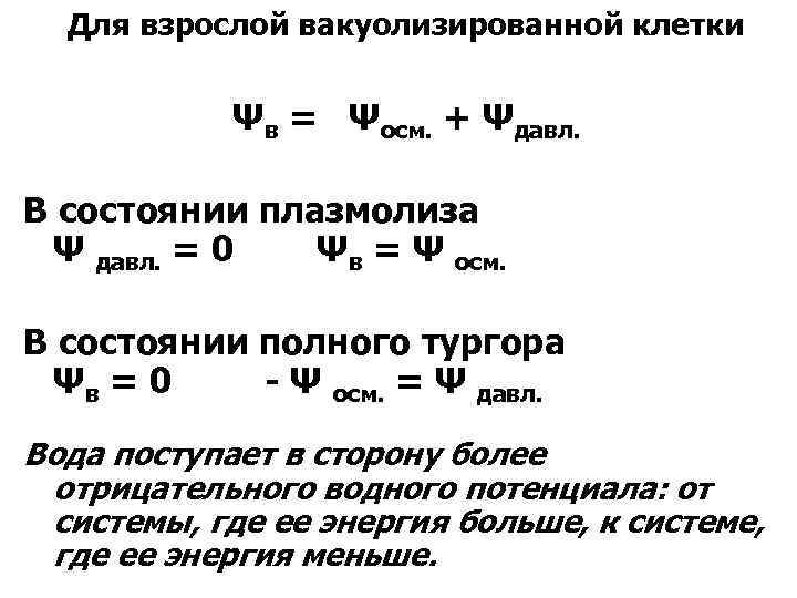 Для взрослой вакуолизированной клетки Ψв = Ψосм. + Ψдавл. В состоянии плазмолиза Ψ давл.