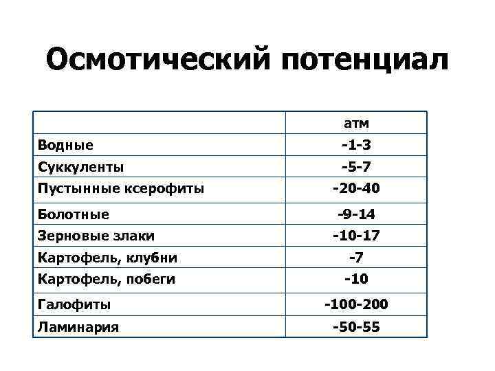 Осмотический потенциал атм Водные -1 -3 Суккуленты -5 -7 Пустынные ксерофиты Болотные Зерновые злаки