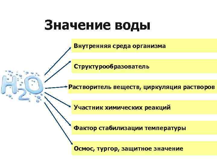 Значение воды Внутренняя среда организма Структурообразователь Растворитель веществ, циркуляция растворов Участник химических реакций Фактор