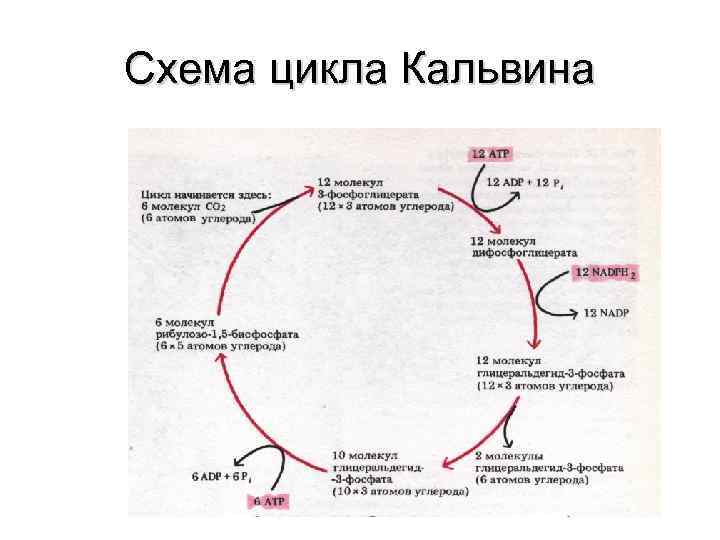 Цилиндрический цикл схема