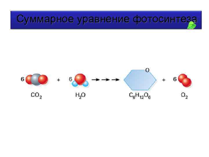 C реакции