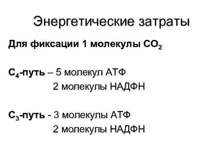 Энергетические затраты Для фиксации 1 молекулы СО 2 С 4 -путь – 5 молекул