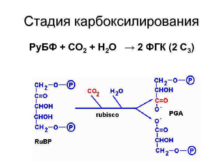 C реакции