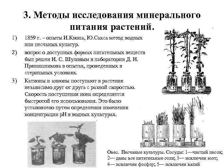 3. Методы исследования минерального питания растений. 1) 2) 3) 1859 г. – опыты И.