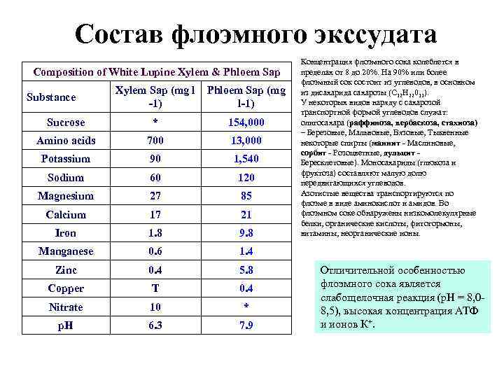 Состав флоэмного экссудата Composition of White Lupine Xylem & Phloem Sap Xylem Sap (mg