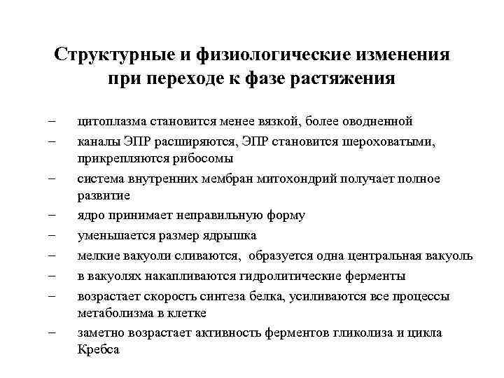 Структурные и физиологические изменения при переходе к фазе растяжения – – – – –